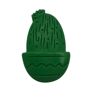 Cactus Soap